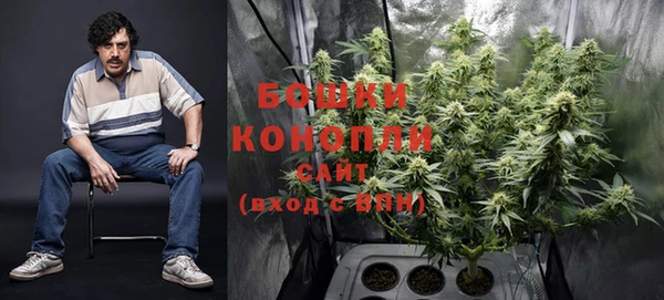 соль курить ск Белокуриха