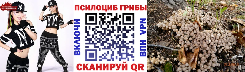 Псилоцибиновые грибы прущие грибы  Кстово 